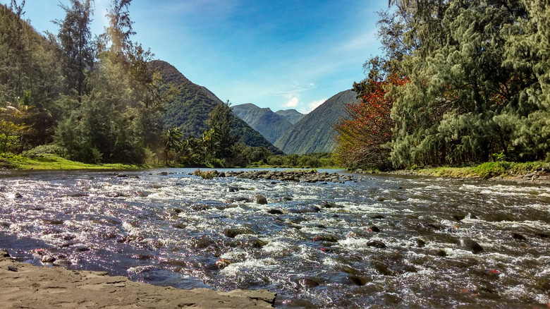 Waipio valley