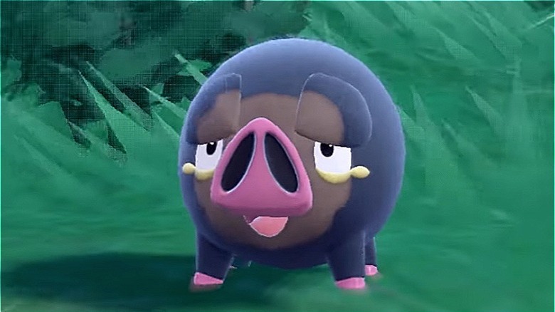 Screenshot of the Pokemon Lechonk