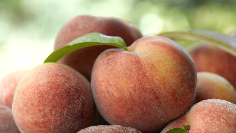 Closeup of peaches