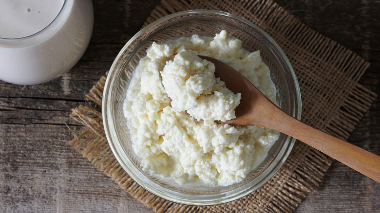 Kefir cheese in bowl with wooden spoon
