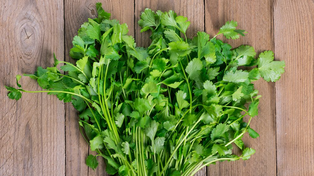 Cilantro haters v. lovers