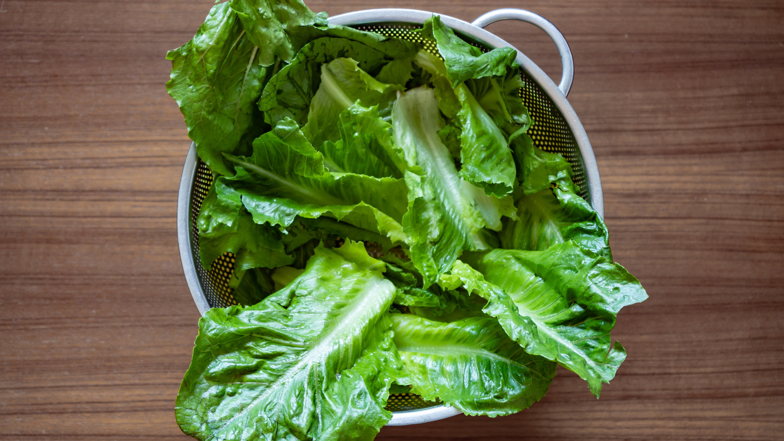 <a href="https://www.mashed.com/1781381/step-missing-when-washing-lettuce/" target="_blank">The One Step You Might Be Missing When Washing Lettuce</a>