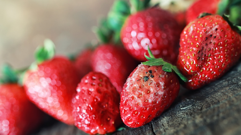 Overripe strawberries in a dish