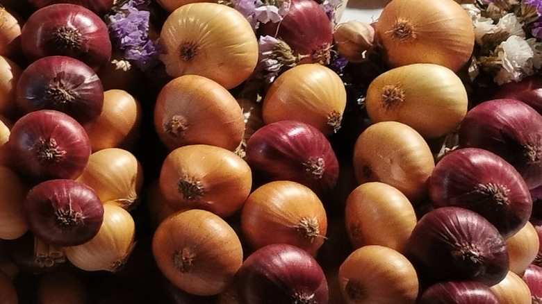 Strings of onion at Bern's Onion Market