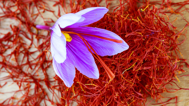 Saffron flower on saffron spices