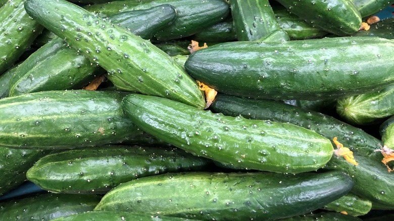A pile of cucumbers