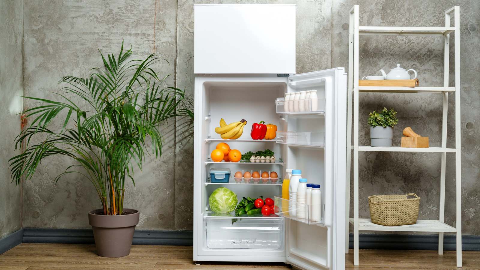 The Overlooked Spot On Your Fridge You Didn't Realize Needs Cleaning