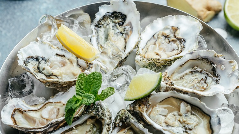 raw oysters