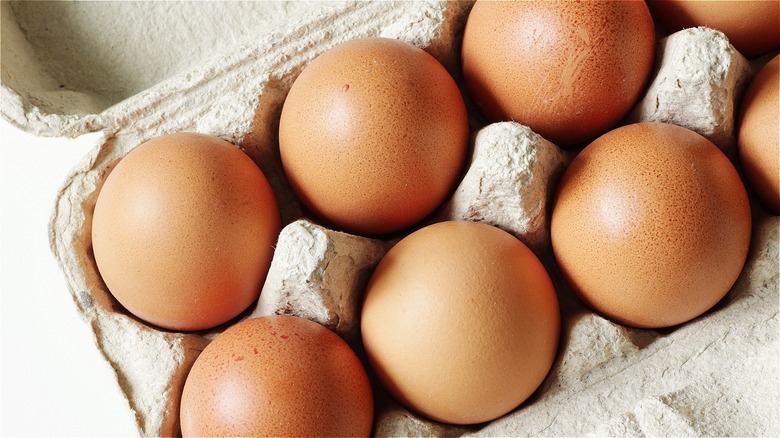 closeup of eggs in a carton