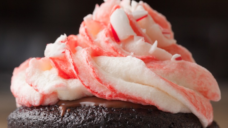 Chocolate cupcake with peppermint frosting