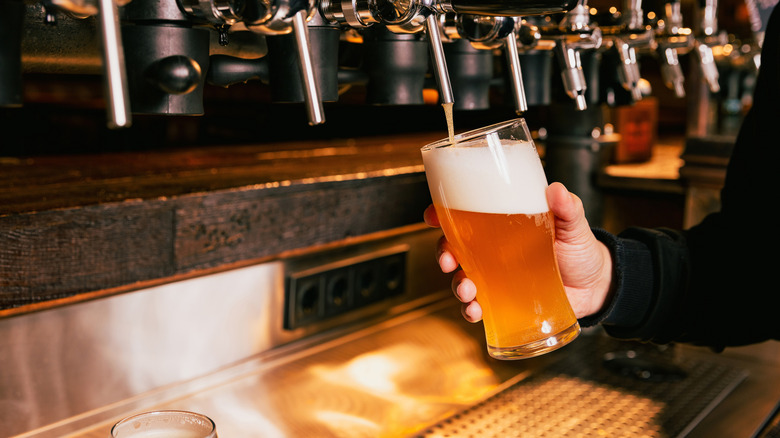 Bartender pouring beer from tap into a glass