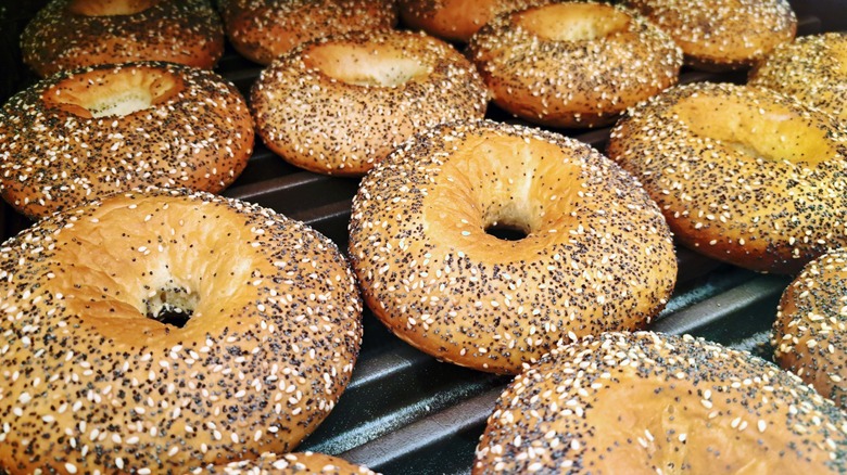 Everything bagels