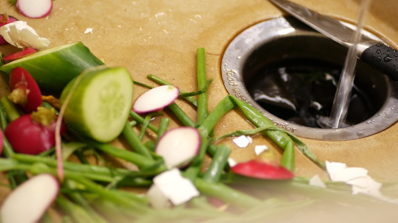 Closeup in-sink garbage disposal and vegetable waste