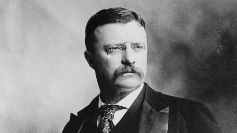 a black and white picture of Theodore Roosevelt