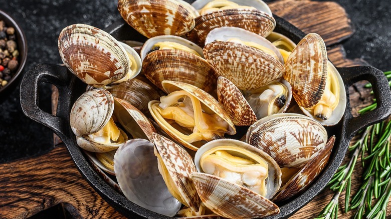 Clams in a pot