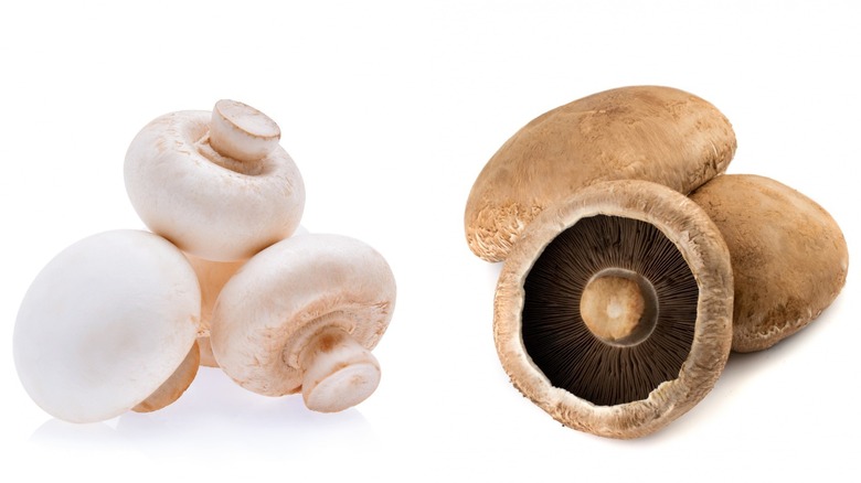 White button mushrooms next to brown portobello mushrooms