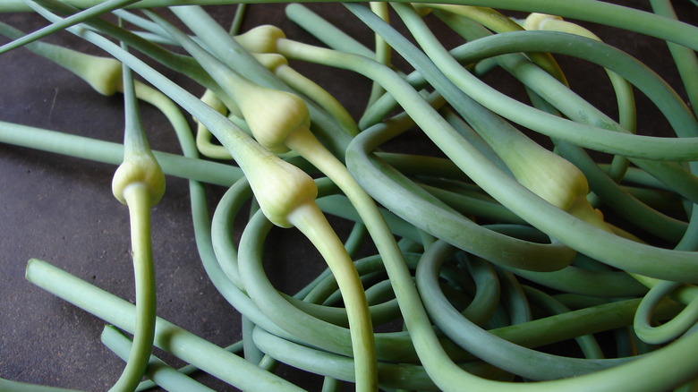 Garlic scapes