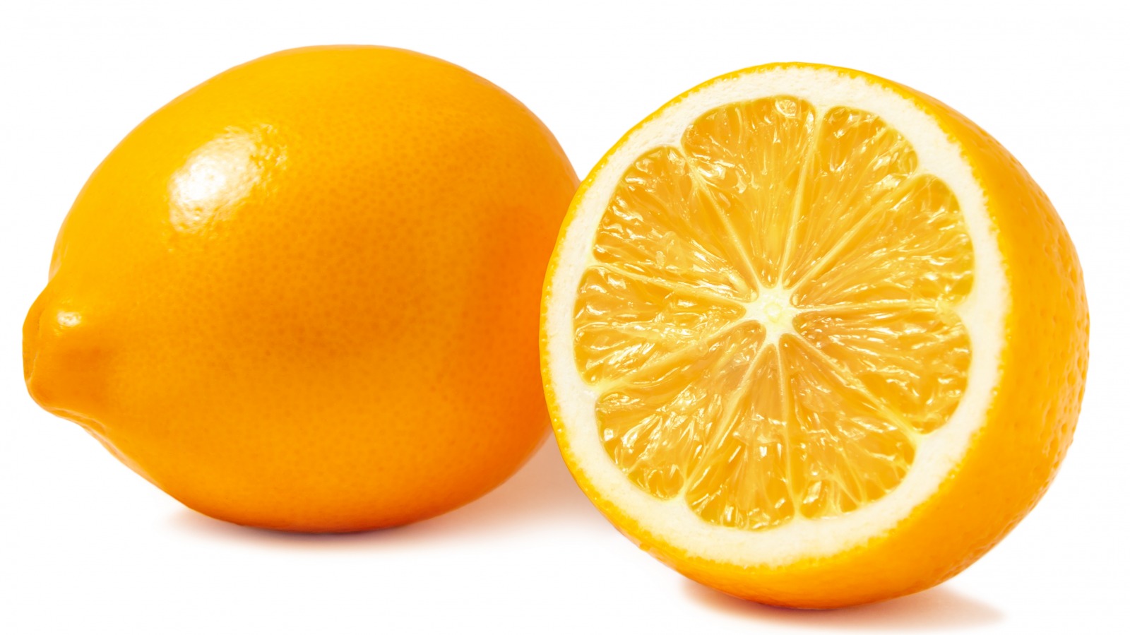meyer lemon