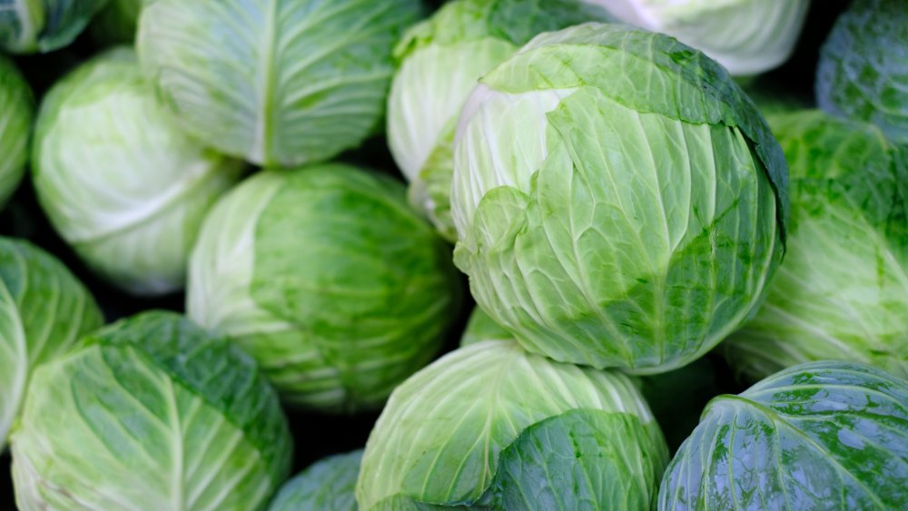 Three types of cabbage