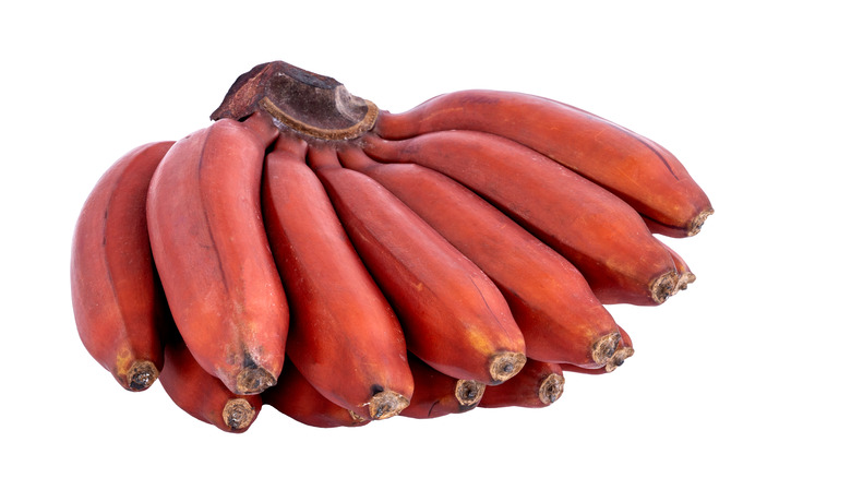 Red Bananas