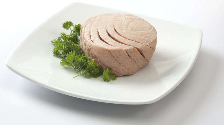 Canned tuna on plate