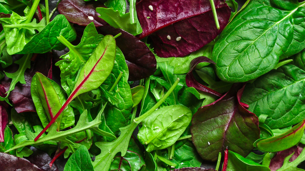 Spinach and chard leaves