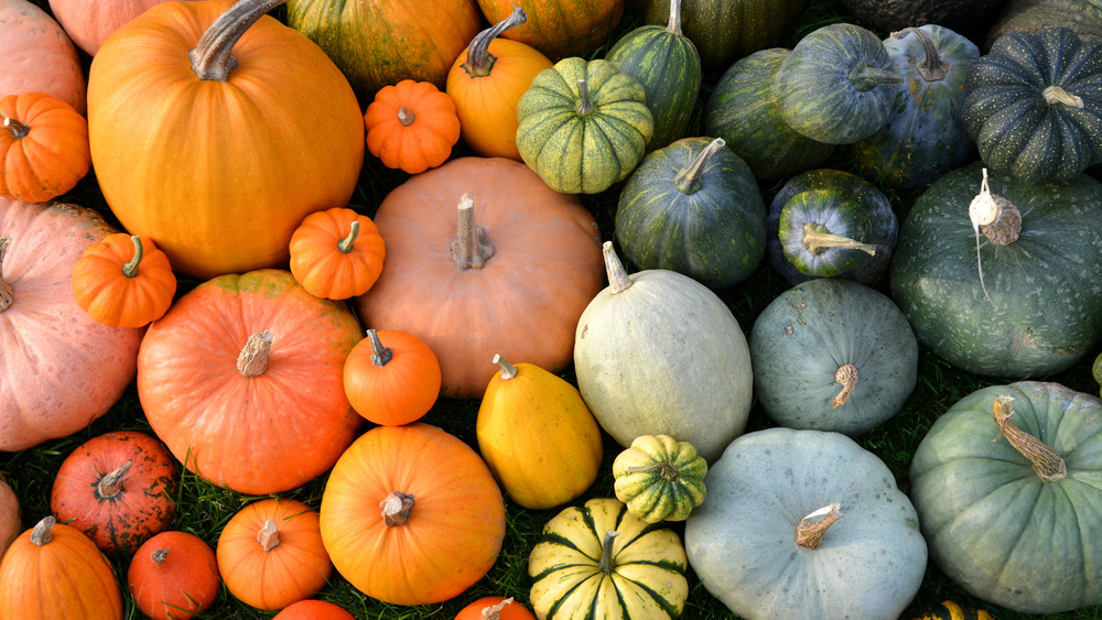 Orange and green squash