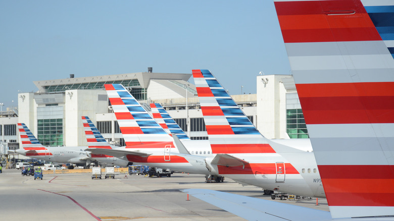 American Airlines planes at gate