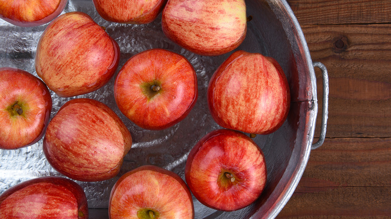 Apples in a metal tub of water