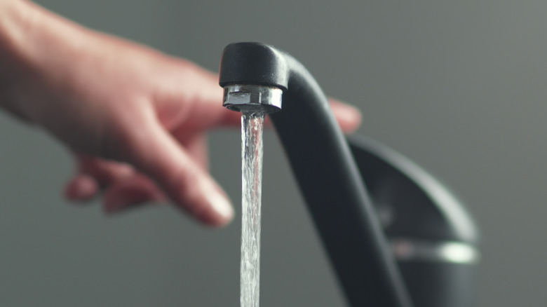 Person running water from the tap