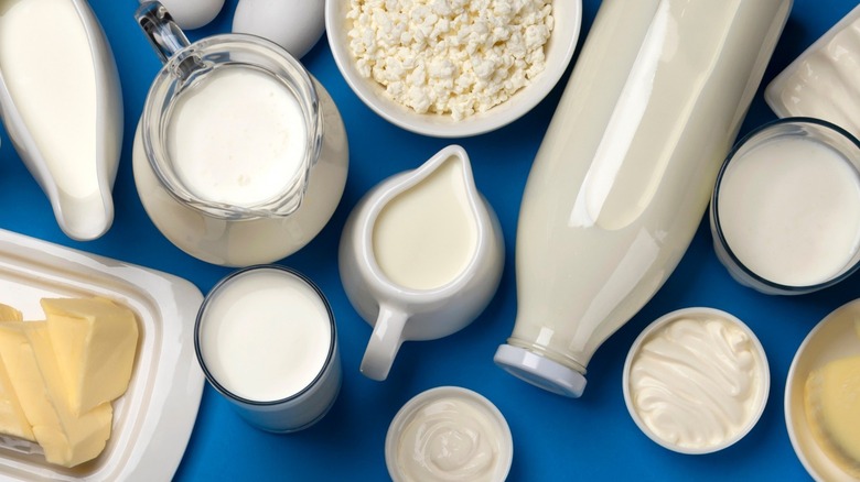 Different forms of dairy on a blue background