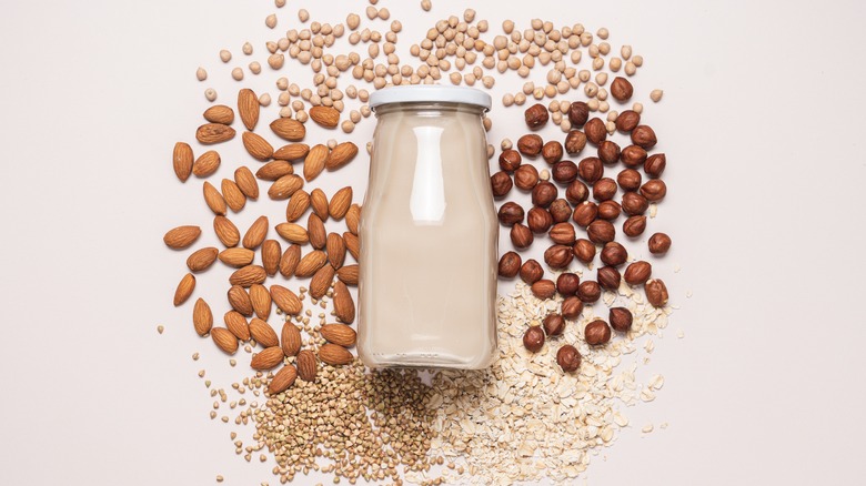 nut milk with various nuts and oats around it