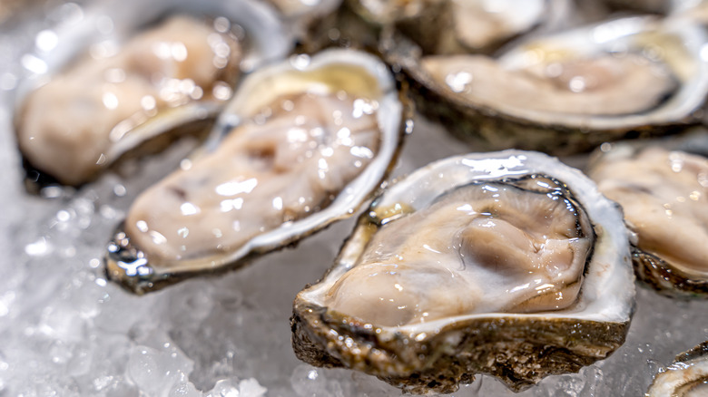 Raw oysters on ice
