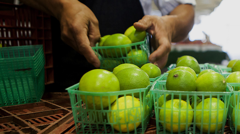 Grocer arranges lime boxes