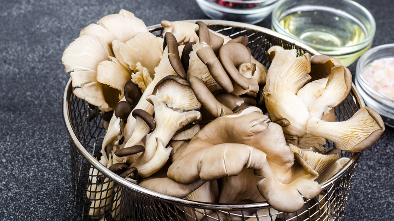 oysters mushrooms