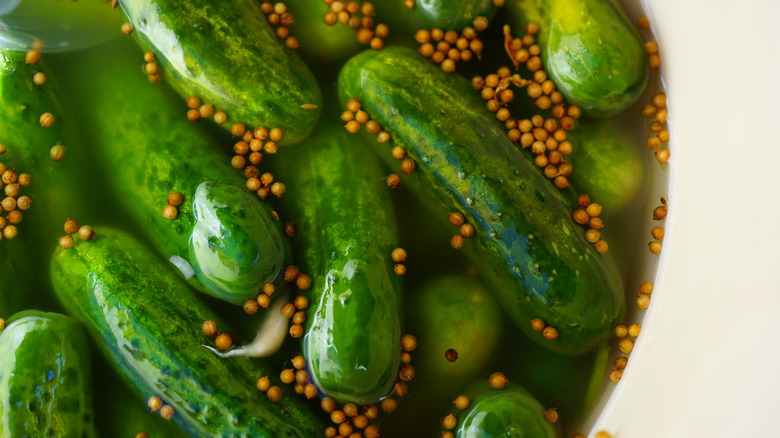 Half-sour pickles floating in brine and seeds