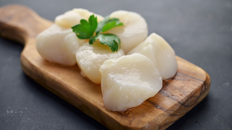 Raw scallops on wooden board