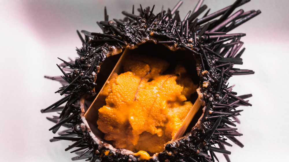 Uni (Sea Urchin) - Unique Ocean Delicacy • Just One Cookbook