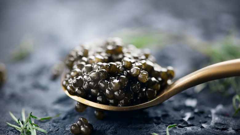 caviar on spoon