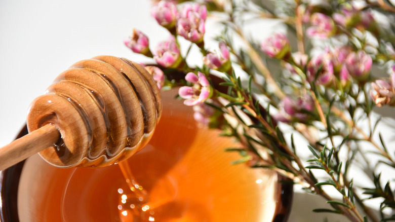 Manuka Honey with flowers