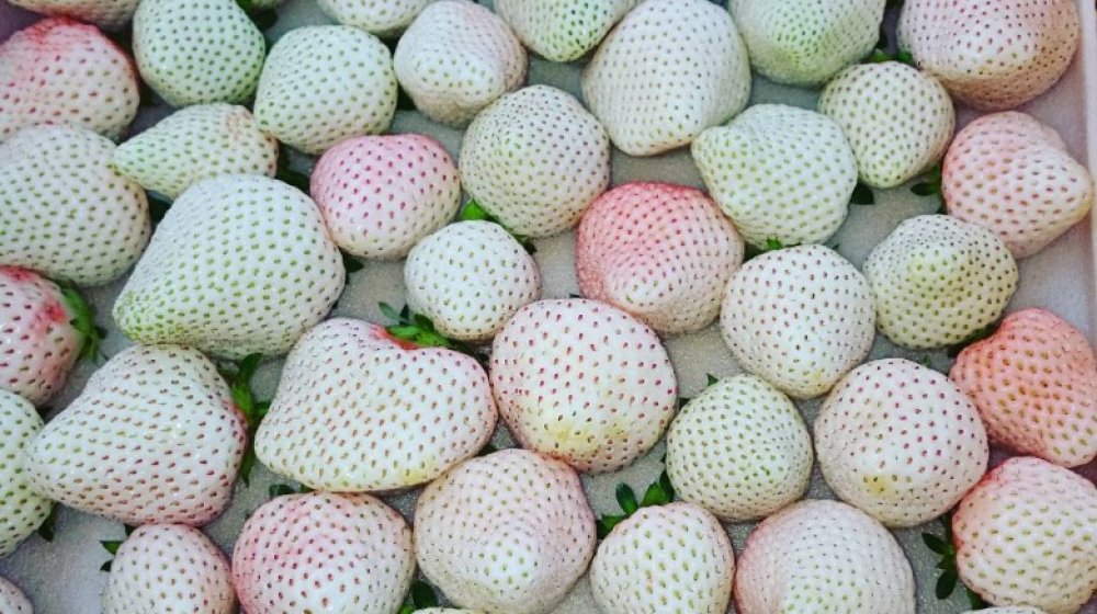 white strawberries