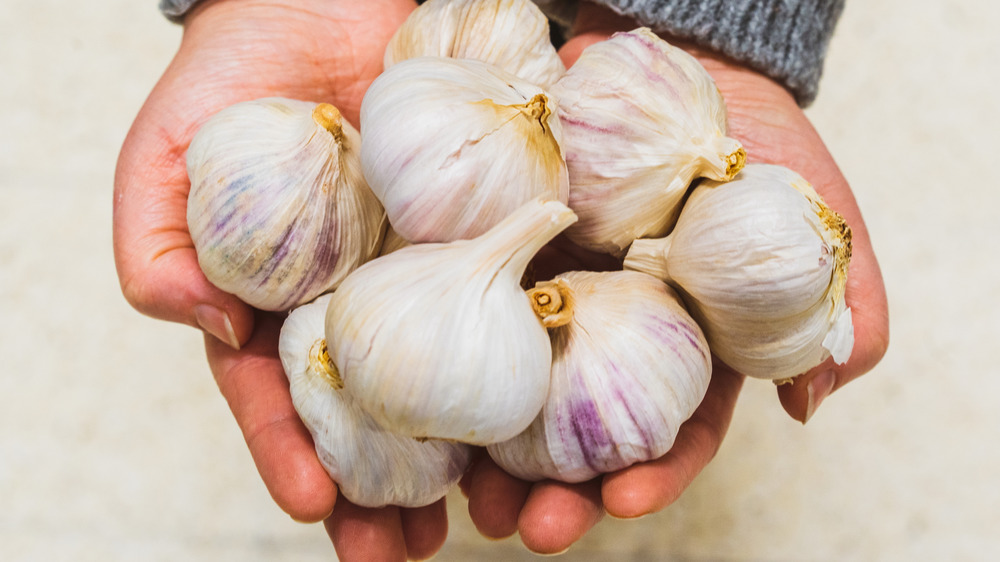 Holding handfuls of garlic