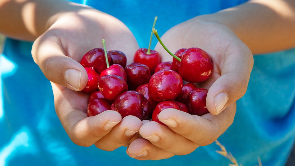 dangers of cherries 