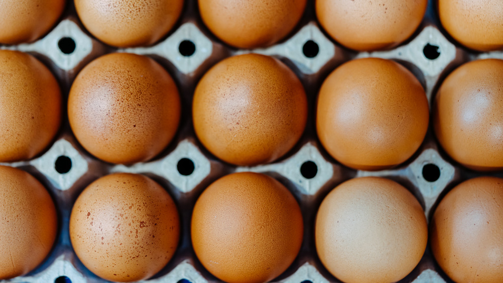 Close-up of eggs in carton