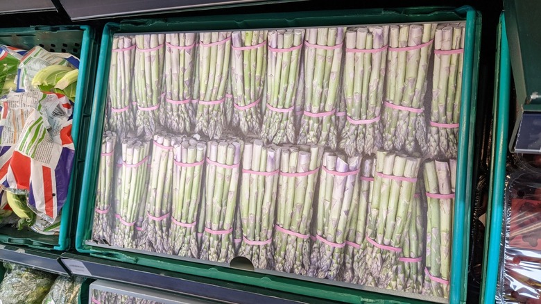 Cardboard asparagus cutout