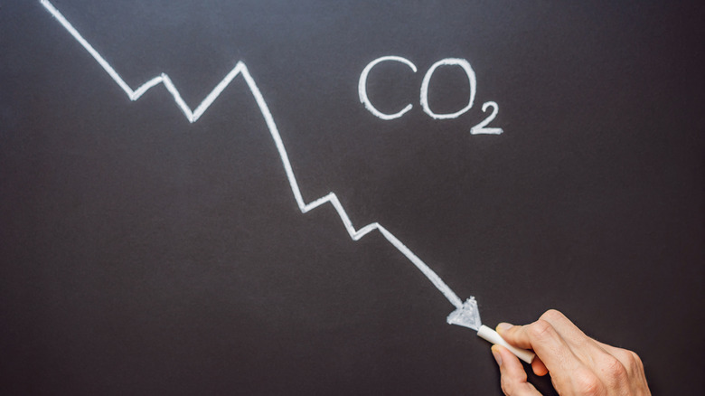 CO2 shortage 
