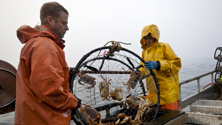 Jay Jay, first mate aboard the Outsider commercial fishing boat, left, and Eddie Shipman, second mate, load the temporary holding tank with Dungeness crabs near Bodega Bay, California.