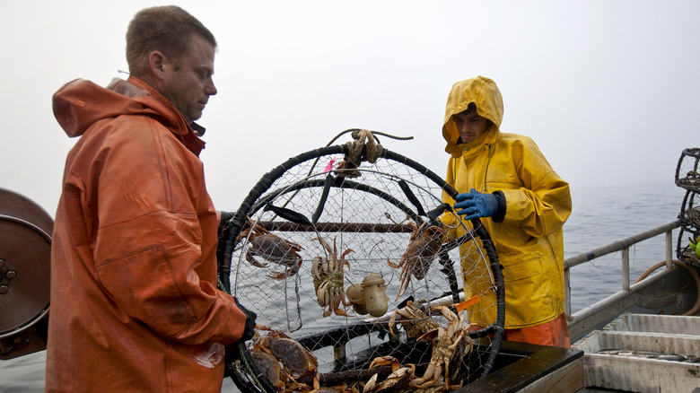 Introduction to How 'Deadliest Catch' Works