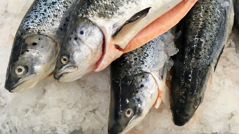 The Reason Aldi Is Being Sued For Its Salmon