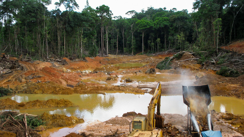 Construction equipment tearing down the rainforest 